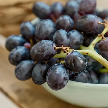 Apartamento All2gether Lisboa